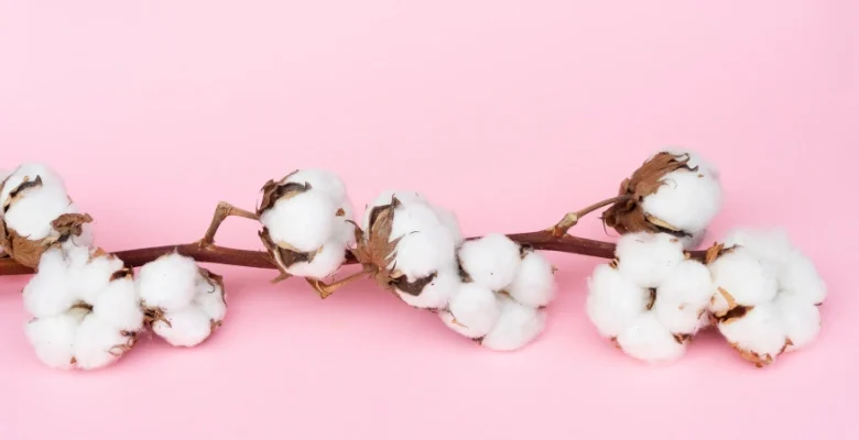 106 کارخانه پنبه پاک کنی