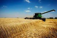 ایران ممکن است تا 3 میلیون تن گندم از هند بخرد