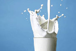 گرانفروشی شیر و لبنیات در ‏سایه عرضه دو نرخی ‏