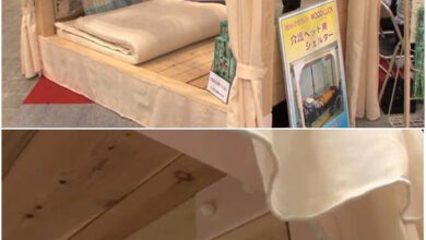 ژاپنی‌ها تخت‌خواب ضد زلزله ساختند