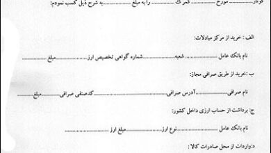 فرم جدید دولت برای دریافت‌کنندگان ارز وارداتی/ منبع تامین ارز کجاست؟