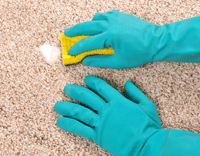 پاک کردن لکه از فرش