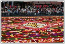 جشنواره بزرگ ترین فرش گل در مسکو + عکس