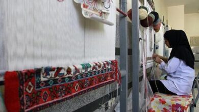 مهارت و دانش فرصتی برای خنثی کردن تبعات بیکاری/ علم و هنر دو روی یک سکه