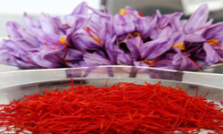 پس از 4 سال، آمریکا هم به لیست صادرات زعفران ایرانی پیوست