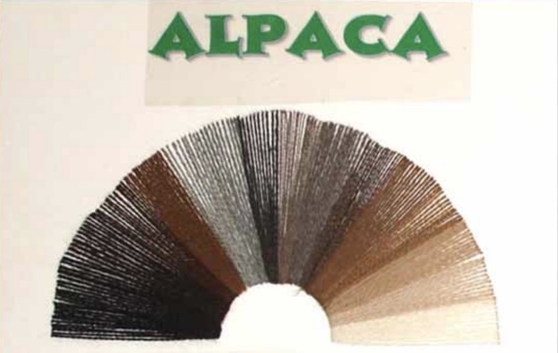 الیاف آلپاکا دارای بیش از ۱۸ طیف رنگی است