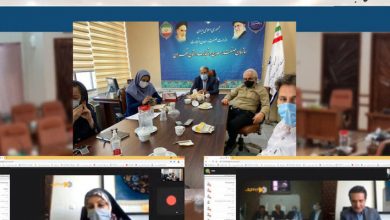 انتخاب اولین هیئت مدیره کانون توسعه هنر طراحی قالی ایران
