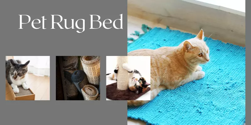 pet-rug-bed