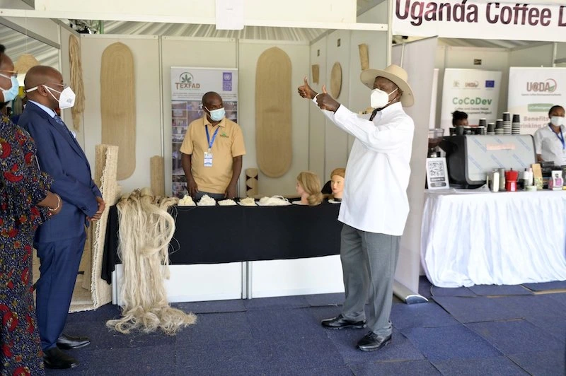 تبدیل ضایعات موز به صنایع نوآورانه: تحول نوآورانه نساجی اوگاندا