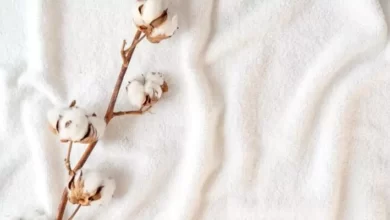 رشد بازار بذر پنبه در ایران و خاورمیانه تا سال ۲۰۳۰