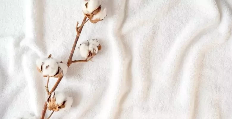 رشد بازار بذر پنبه در ایران و خاورمیانه تا سال ۲۰۳۰