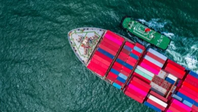 صادرات پوشاک