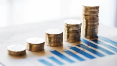 سرمایه‌گذاری ترکیه