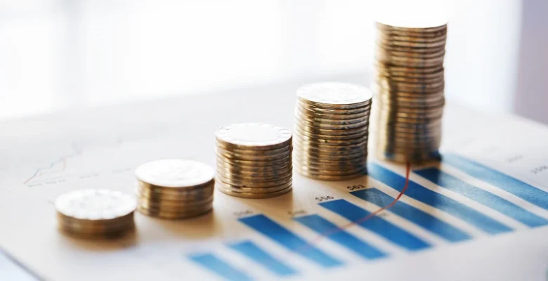 سرمایهگذاری ترکیه