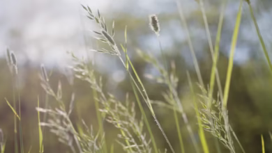 گزارش OEKO-TEX 2025