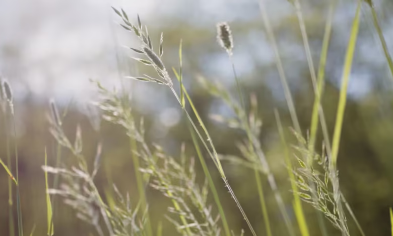 گزارش OEKO-TEX 2025