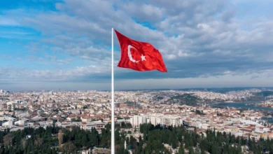 صادرات فرش ترکیه