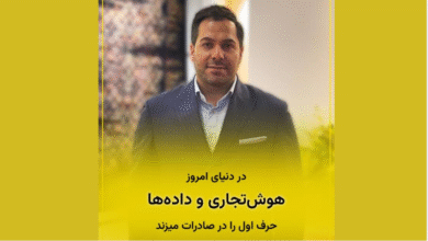 دکتر ناصر سراجی در حال سخنرانی درباره اهمیت برندینگ و تحلیل داده‌ها برای صادرات فرش ماشینی ایران