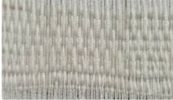 گیاه استبرق یا قلپلپ با برگ‌های پهن و میوه الیاف‌دار در خوزستان