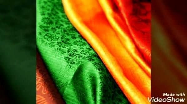 گیاه استبرق یا قلپلپ با برگ‌های پهن و میوه الیاف‌دار در خوزستان