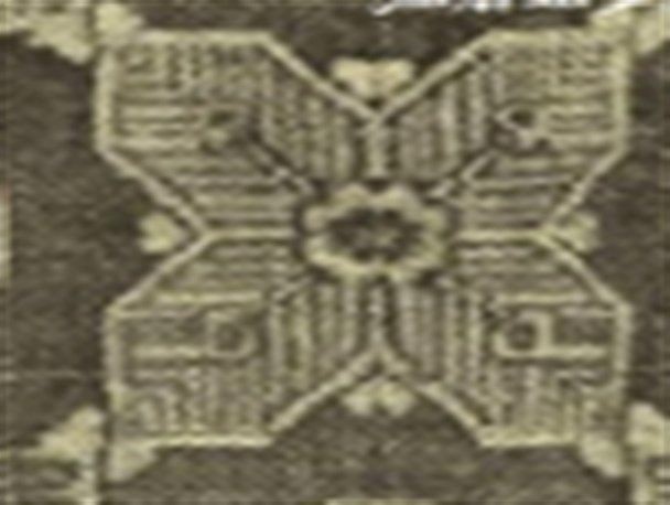 گیاه استبرق یا قلپلپ با برگ‌های پهن و میوه الیاف‌دار در خوزستان