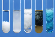 معرفی پلیاستر کمکربن برای تقویتکنندههای تایر در کنفرانس فناوری تایر با تمرکز بر کاهش ردپای کربنی و حفظ عملکرد صنعتی