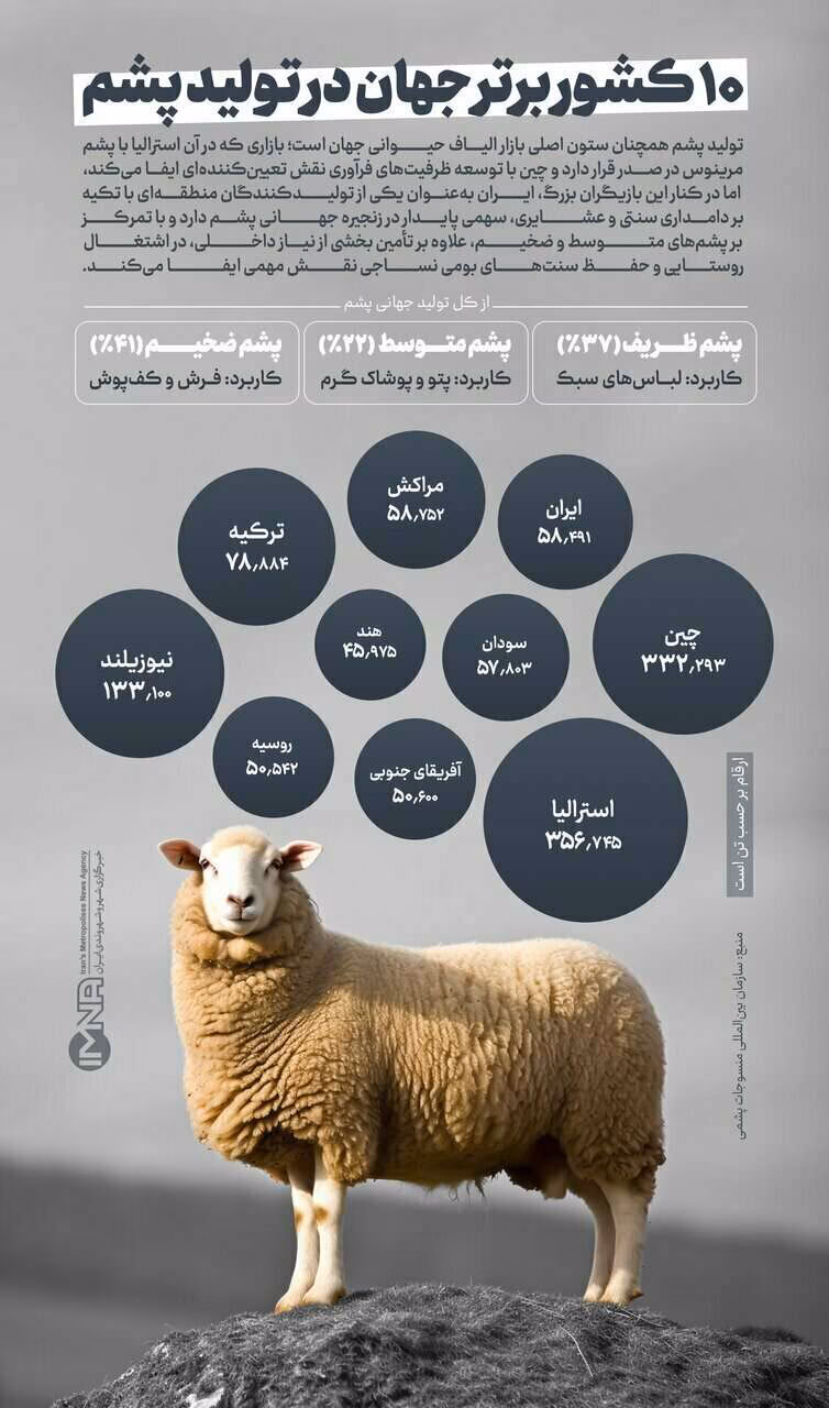 تولید پشم در کشورهای برتر جهان و جایگاه ایران در بازار جهانی

