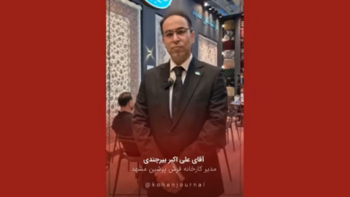 علی‌اکبر بیرجندی مدیر کارخانه فرش پرشین مشهد درباره چالش‌های تولید فرش ماشینی و تأمین مواد اولیه